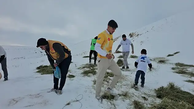 Aktivistler Süphan Dağı eteğine yem bıraktı