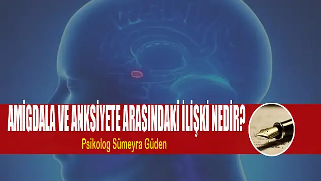 Amigdala ve Anksiyete Arasındaki İlişki Nedir?