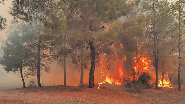 Antalya'da üç ayrı noktada yangın çıktı