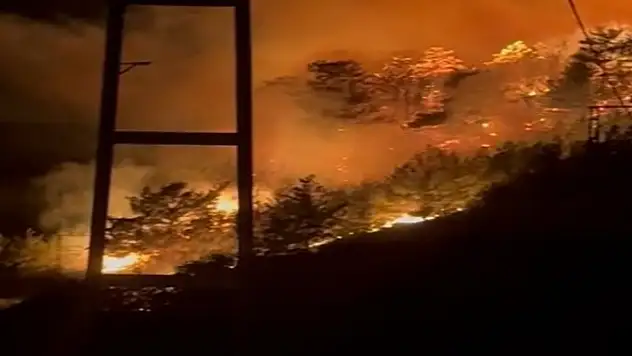 Antalya'nın Alanya ve Aksu ilçelerinde orman yangını