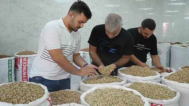 Antep fıstığına ithalat izni çıkıcınca fiyatlar ve satışlar düştü