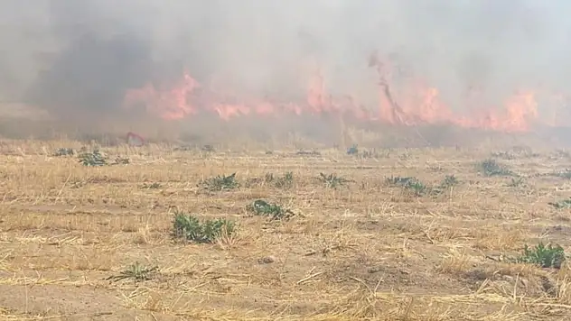 Arpa tarlasında yangın