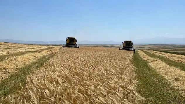 Ata tohumu çiftçinin yüzünü güldürdü