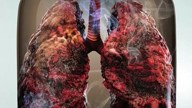 Bağımlılıkla Mücadele İl Koordinasyon Kurulu'ndan önemli kararlar