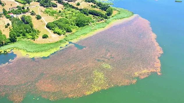 Baharın renklerine bürünen Terkos Gölü mest etti