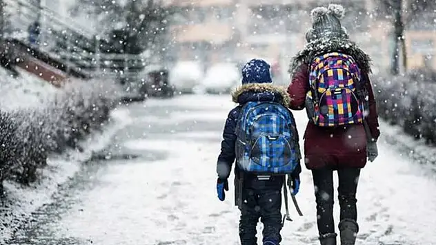 Bahçesaray'da taşımalı eğitime kar tatili