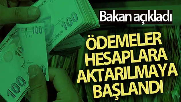 Bakan Pakdemirli: 13 milyon lirayı aşkın destek ödemesi hesaplara aktarılmaya başlandı