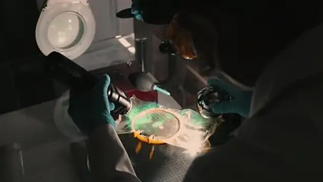 Bakan Yerlikaya duyurdu