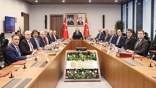 Bakan Yerlikaya sokak hayvanları ile ilgili video konferansa katıldı