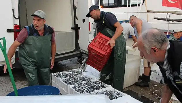 Balık sezonu açıldı! İşte ilk fiyatlar