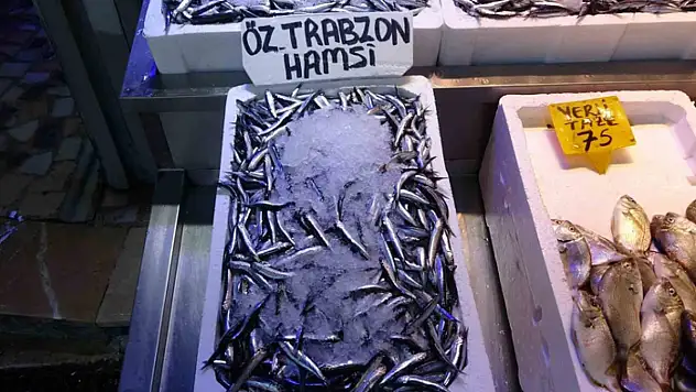 Balıkçılarda erken gelen hamsinin Türk karasularını erken terk edeceği endişesi