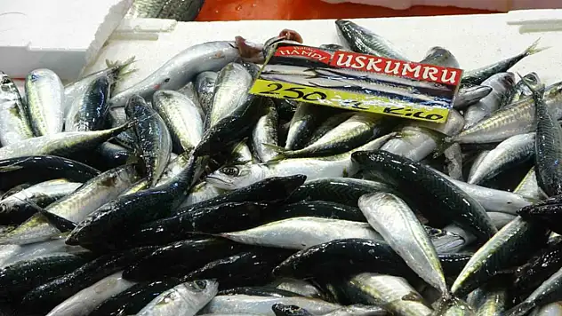 Balıkçılardan müjde: Fiyatlar düştü, ekimde bolluk bekleniyor