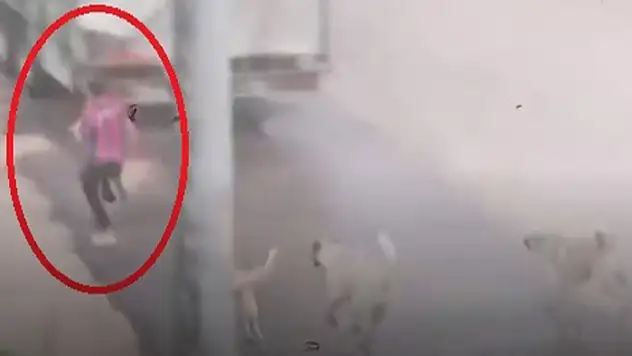 Başıboş köpek sürüsü çocuğu kovaladı