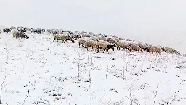 Başkale beyaza büründü