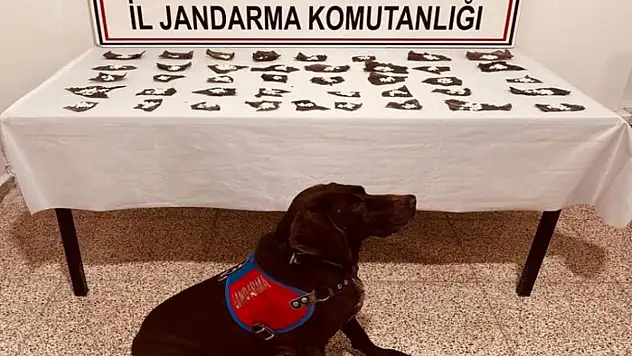 Başkale'de 171 gram bonzai ele geçirildi