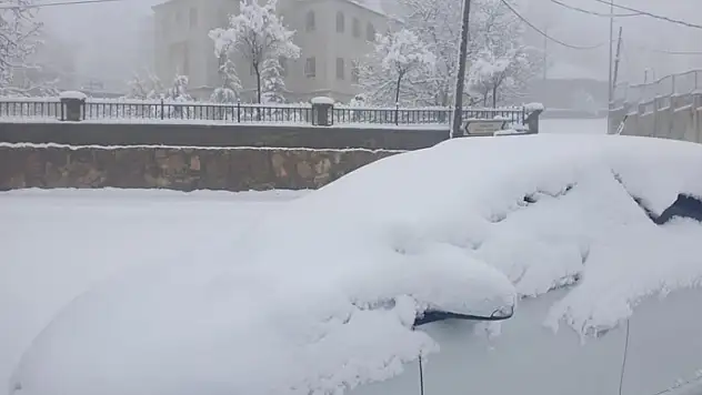 Başkale'de araçlar kara gömüldü