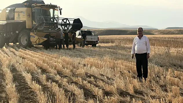 Başkale'de buğday hasadı başladı