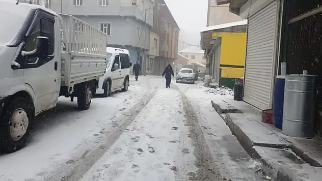 Başkale'de kar yağışı başladı