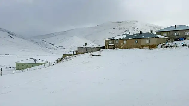 Başkale'de kar yağışı etkili oldu