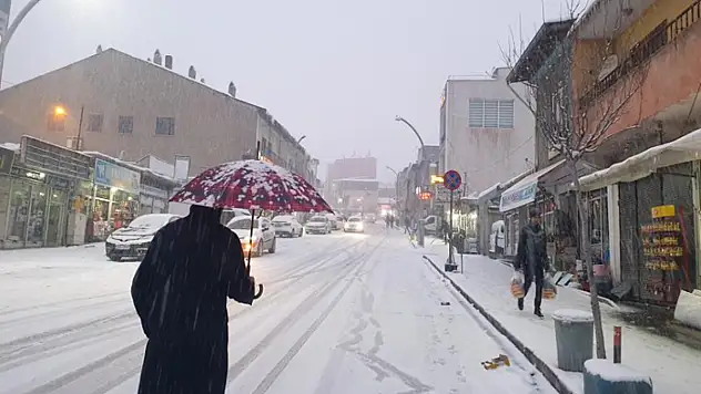 Başkale'de kar yağışı etkili oldu