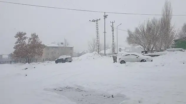 Başkale'de kar yağışı