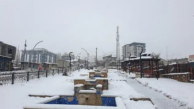 Başkale'de kış etkisini gösteriyor