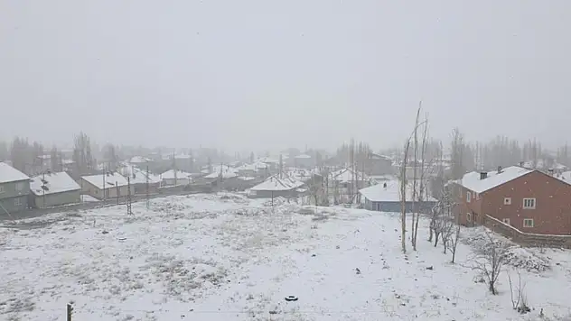 Başkale'de nisan ayında kar yağışı etkili oldu