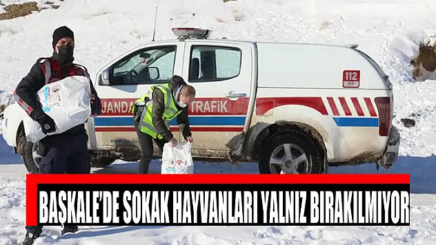 Başkale'de sokak hayvanları yalnız bırakılmıyor