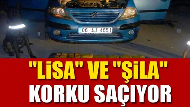 Kaçakçıların korkulu rüyası: 'Lisa' ve 'Şila' 