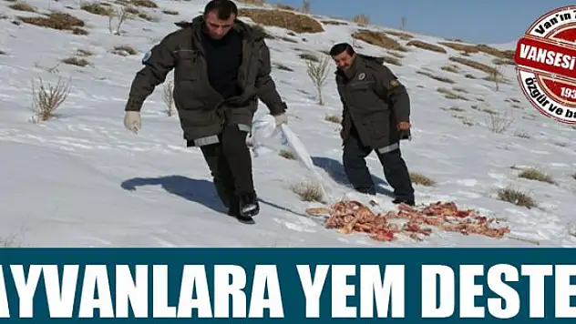 Yaban hayvanlarına yem desteği