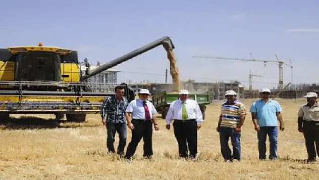 BATTAL, ARPA HASADINA KATILDI