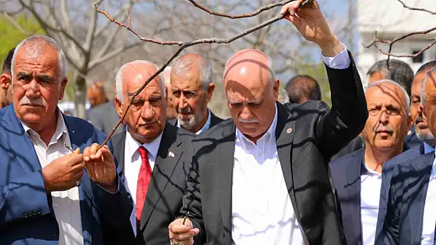 Bayraktar: 65 ilimizde meyve bahçelerimiz don felaketinden etkilendi
