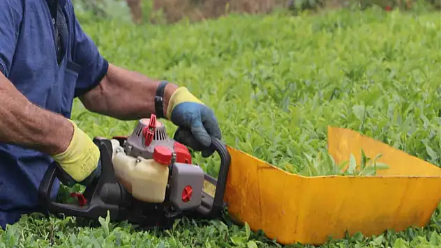 Benzinli çay toplama makinesi ile çay toplamak bu yıl da yasak