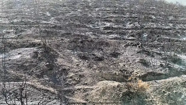 Bilecik'te orman yangını sonrası yürek burkan manzara havadan görüntülendi