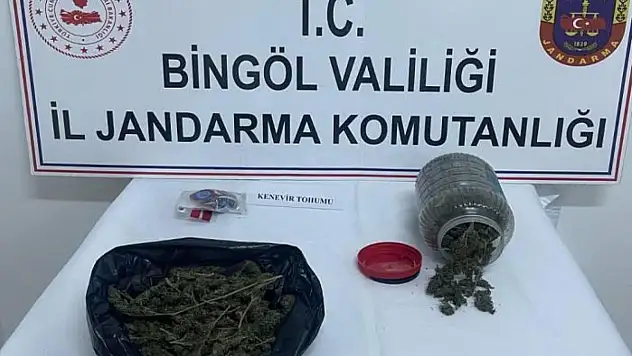 Bingöl'de uyuşturucu operasyonu