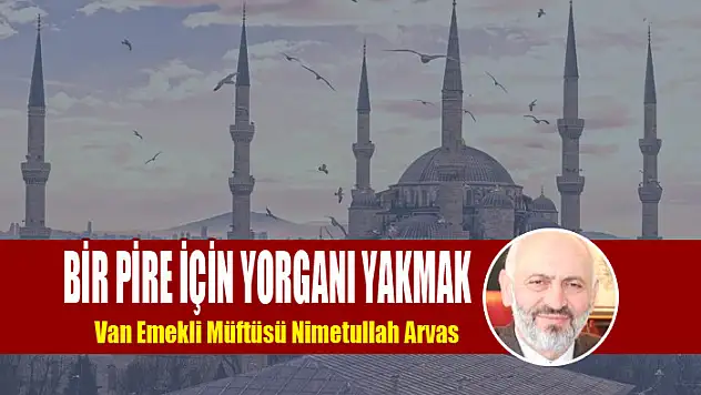 BİR PİRE İÇİN YORGANI YAKMAK