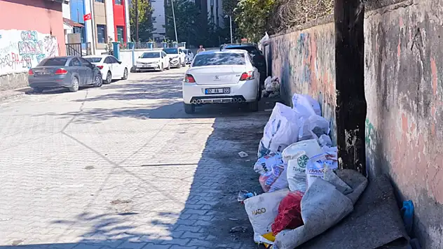 Biriken çöpler halk sağlığını tehdit ediyor