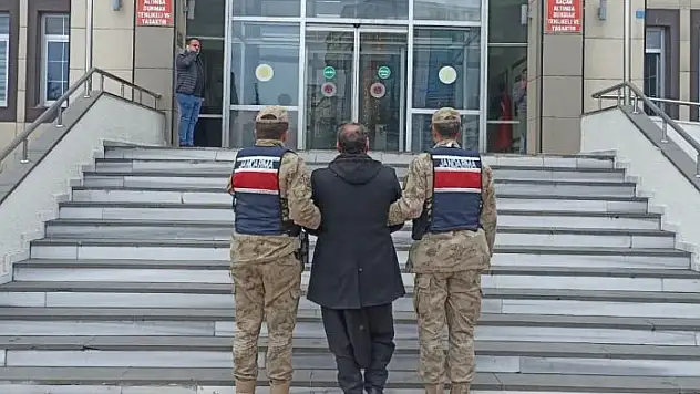 Bitlis'te 1 organizatör tutuklandı