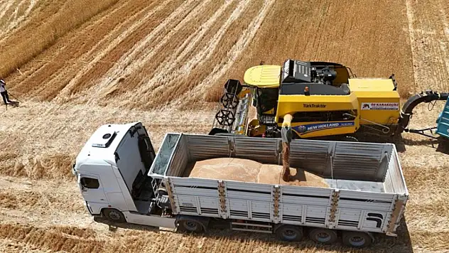 Bitlis'te buğday ve arpada rekor gelir