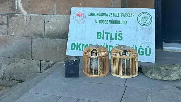 Bitlis'te kaçak keklik avına para cezası