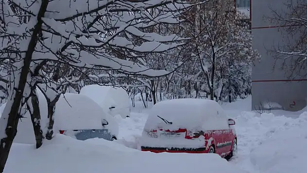 Bitlis'te kar yağışı nedeniyle 87 köy yolu ulaşıma kapandı