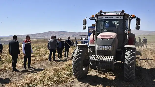 Bitlis'te kuru fasulye hasadında rekor: 37 bin ton üretim