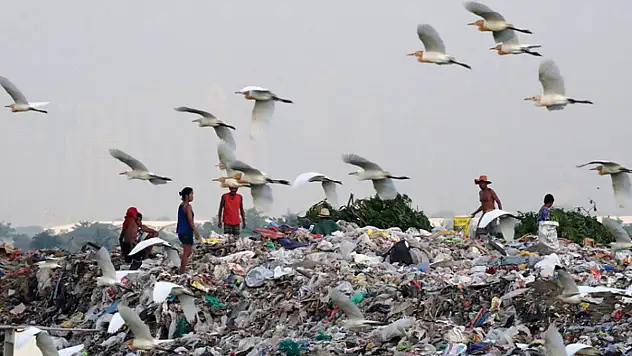 BM: Dünyada her gün 1 milyar öğün israf ediliyor