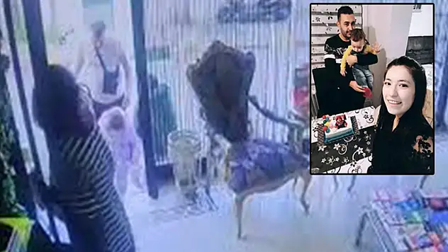 Böcek ailesinin soruşturmasında ilaç şirketi sahibi ile 3 kişi daha tutuklandı