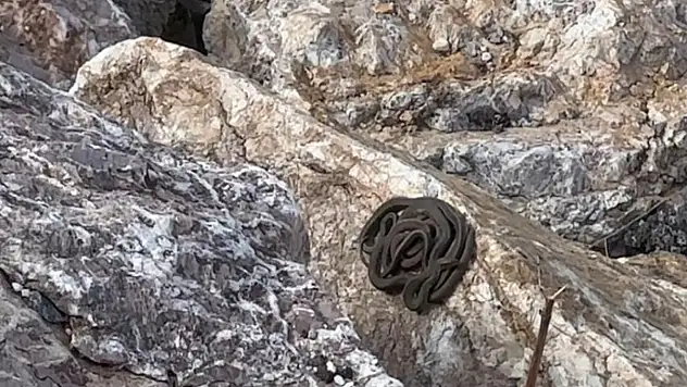 Brezilya değil burası Türkiye