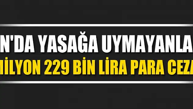 Van'da yasağa uymayanlara 2 milyon 229 bin lira para cezası