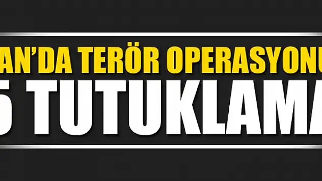 Van'da terör operasyonu: 5 tutuklama