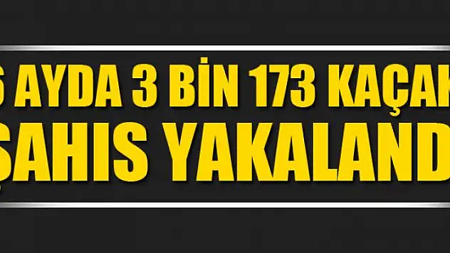 Van'da 6 ayda 3 bin 173 kaçak şahıs yakalandı