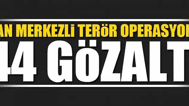 Van merkezli terör operasyonu: 44 gözaltı