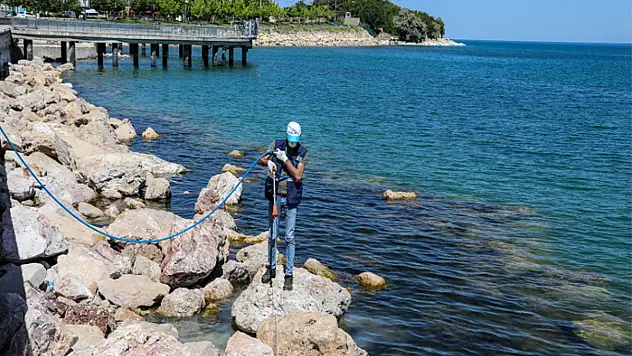 Büyükşehir'den ilaçlama çalışmaları